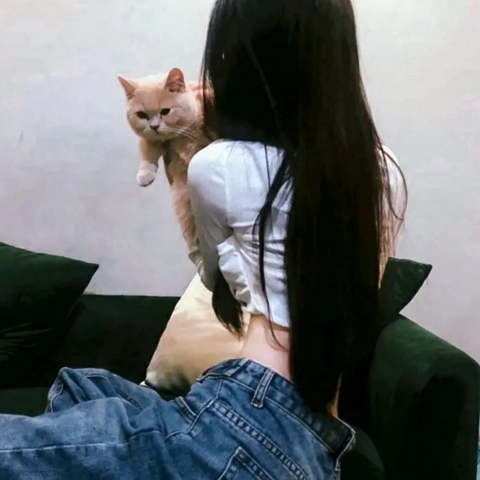 家谱
