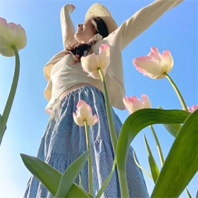 彼得松和芬杜斯3